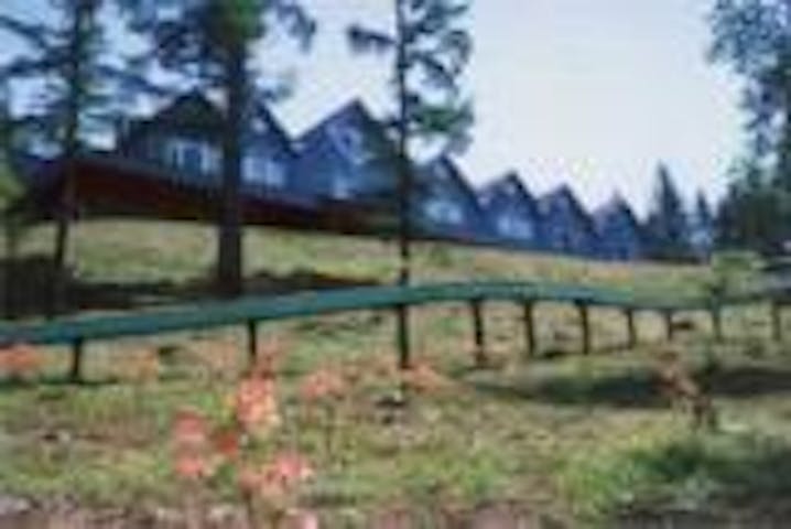 長者の森キャンプ場