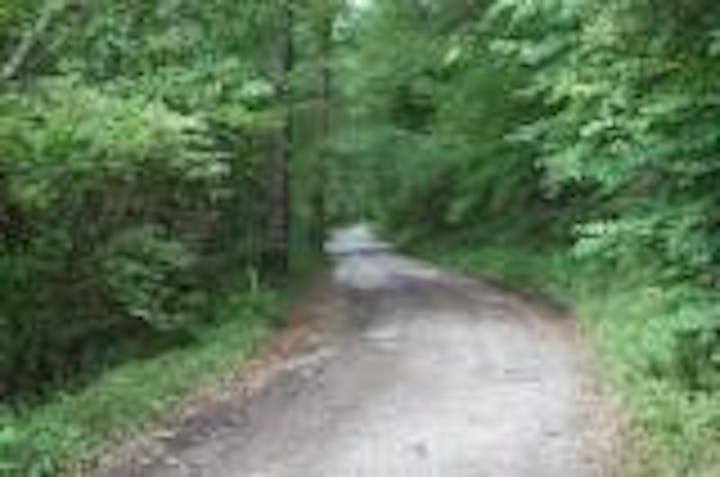 小瀬林道ハイキングコース