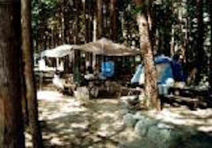 信州大芝高原 オートキャンプ場