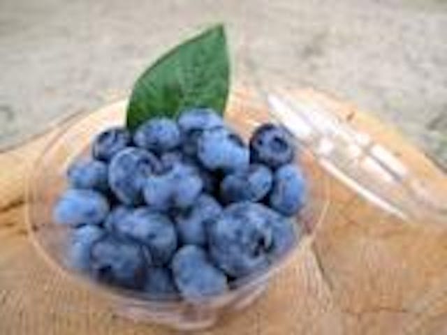 信州くだもの村　富永農園　サクランボ・ブルーベリー狩り園