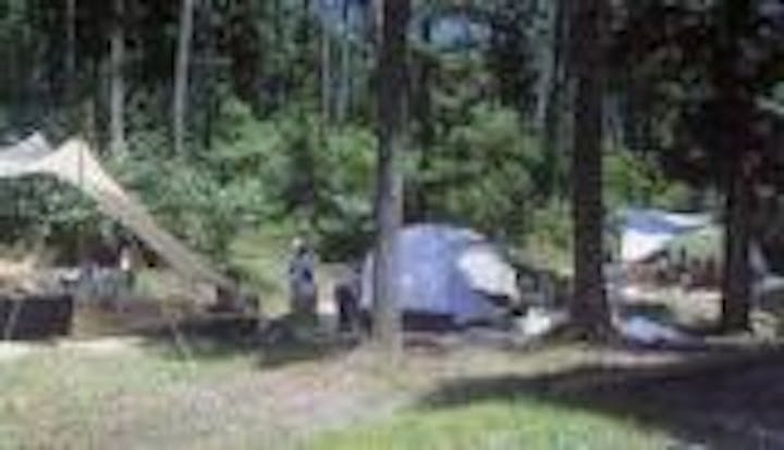 ふるさと村自然園キャンプ場