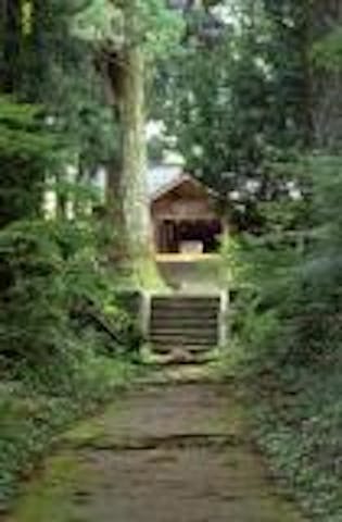 大山田神社の社叢