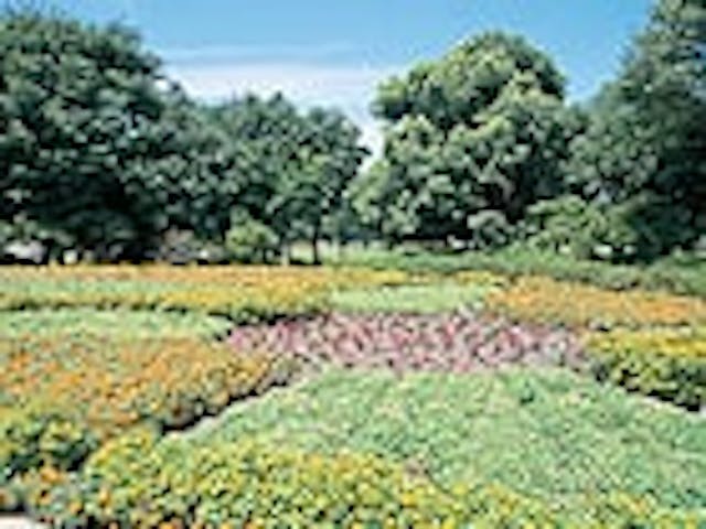 各務原市民公園