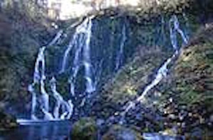 乗鞍山麓　五色ケ原