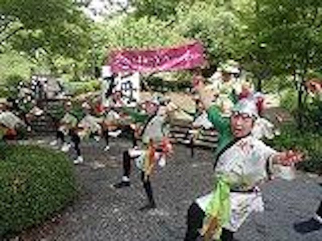 「芝川日和」梅の里稲子まつり
