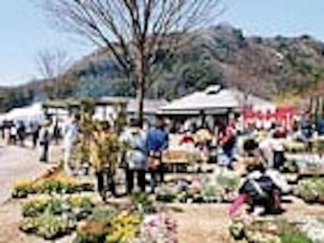 【2021年中止】中川三聖まつり