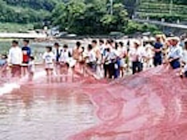 【2021年中止】石部温泉　大地曳き網まつり