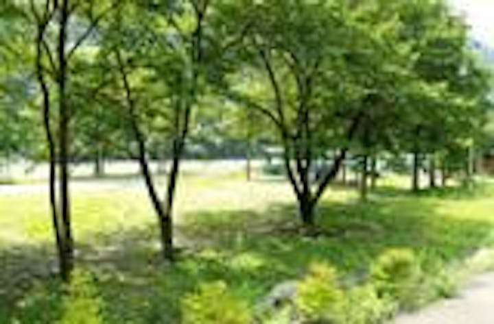 八木キャンプ場