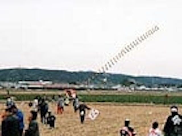 【2021年中止】遠州横須賀凧揚げまつり　