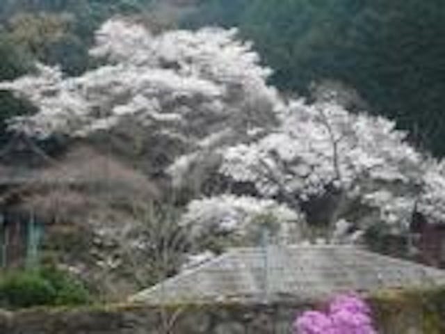 うきさとむらハイキングコース