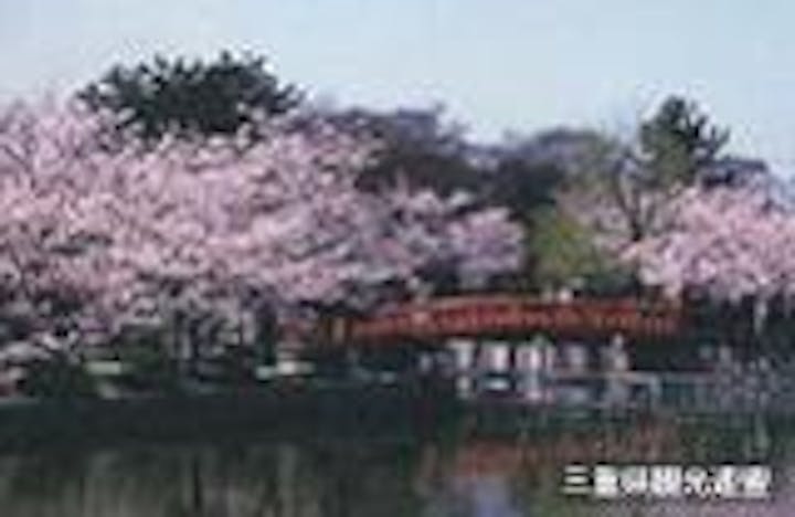 九華公園の桜，つつじ，花菖蒲