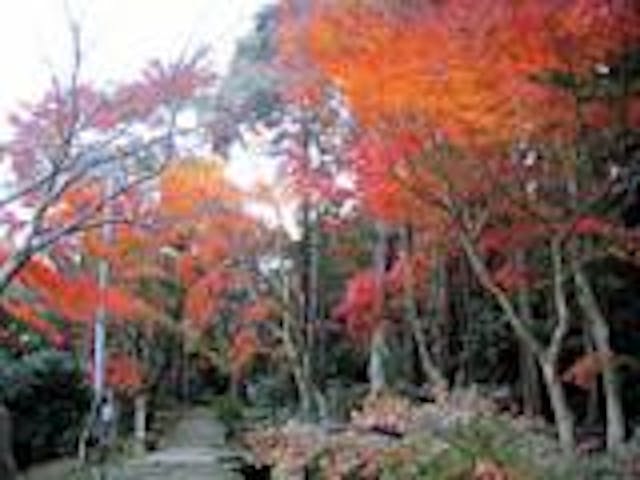 紅葉公園