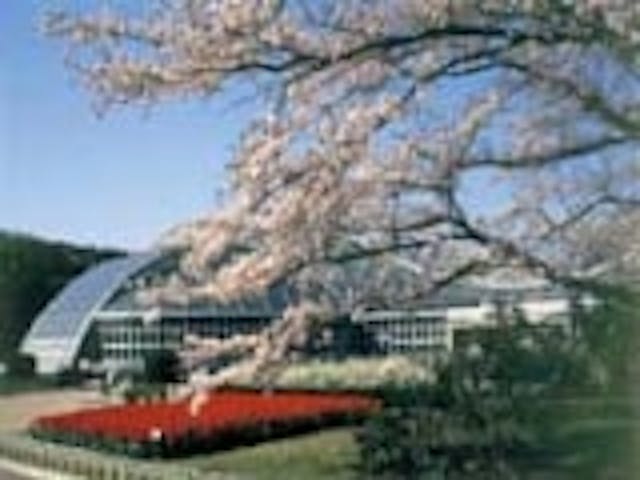 京都府立植物園の桜