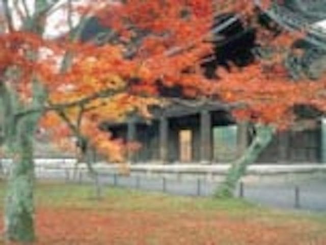 南禅寺の紅葉
