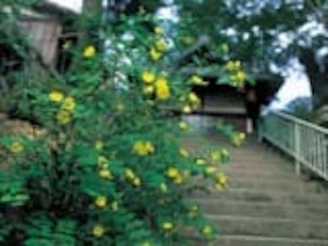 小町寺（補陀洛寺）