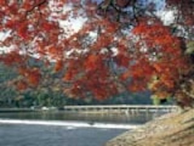 嵐山の紅葉
