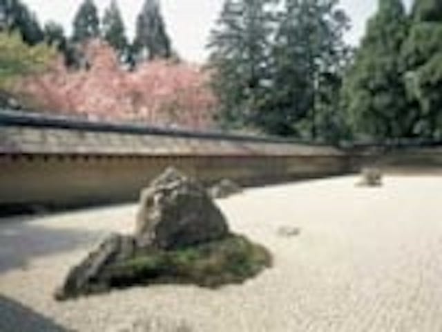 龍安寺の桜
