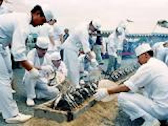 【2021年中止】嵐山若鮎祭