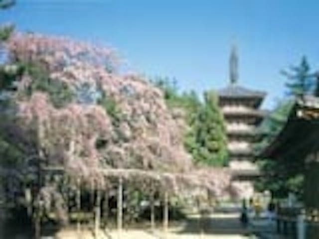 醍醐寺の桜