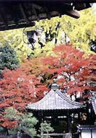 長安寺の紅葉