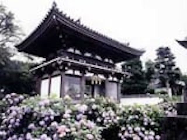 觀音寺（丹波あじさい寺）