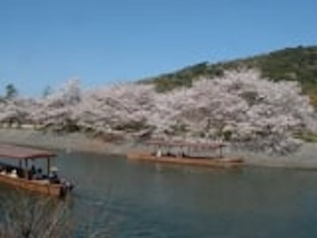 京都府立宇治公園（塔の島・橘島）