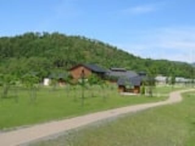 スチールの森京都（京都府立府民の森ひよし）