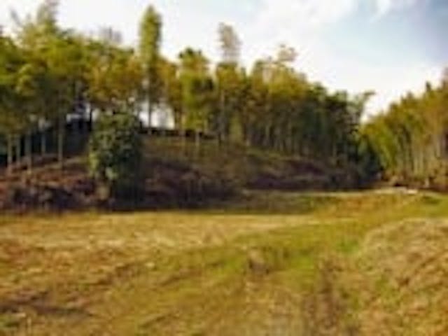 椿井大塚山古墳