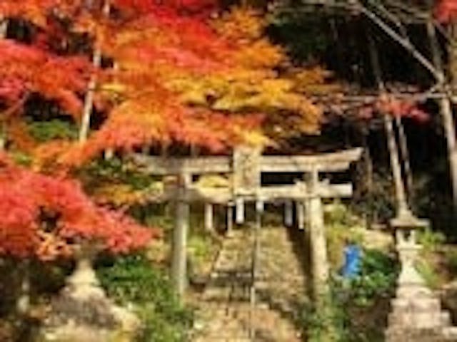 大道神社の紅葉