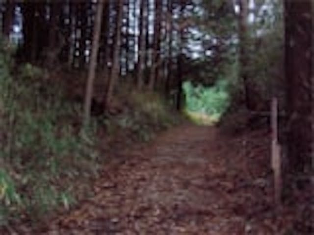 信楽街道〜家康伊賀越えの道