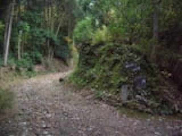 鷲峰山登山道〜祈りの参詣道