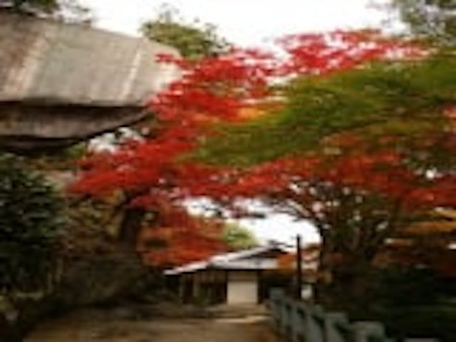 笠置寺（行場めぐり）