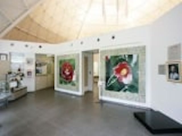 加悦椿文化資料館