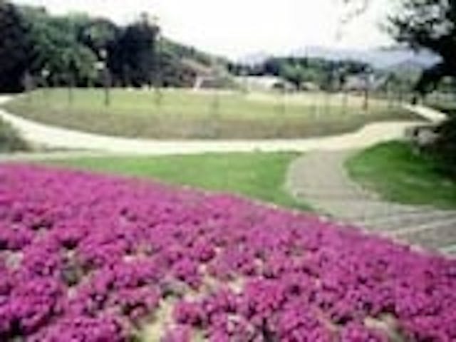 野田川森林公園