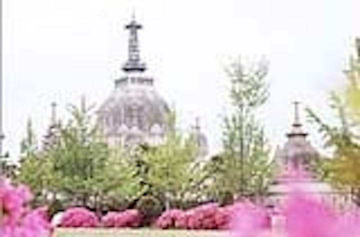 名古山のツツジ