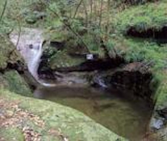 やすとみグリーンステーション鹿ケ壺（ハイキングコース）