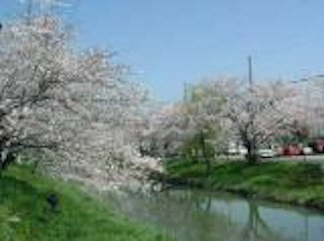 【2021年中止】スプリングフェスタ鹿島川2021