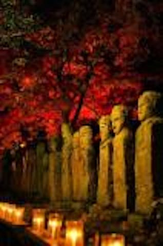 五百羅漢紅葉ライトアップ