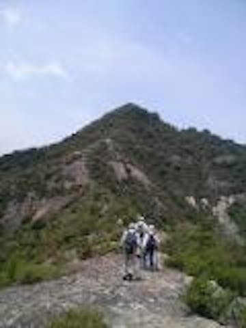 加西アルプスハイキングコース