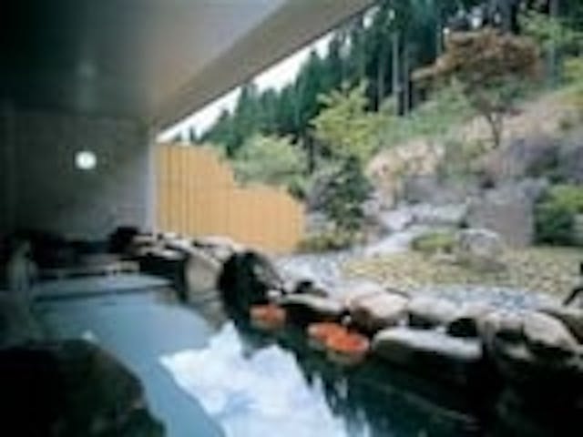 東山温泉「ラドンの湯」（フォレストステーション波賀内）