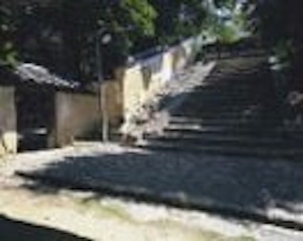 知足院の八重桜