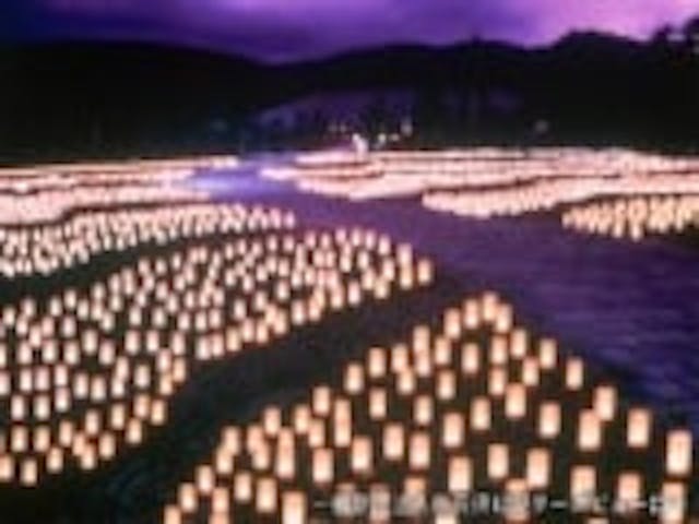 なら燈花会【観覧停止】