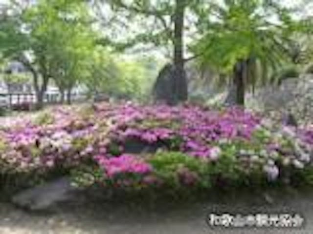 和歌山城のツツジ