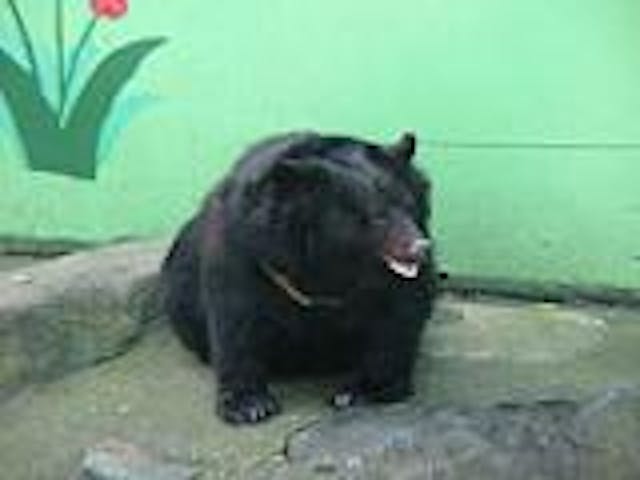 和歌山城公園動物園