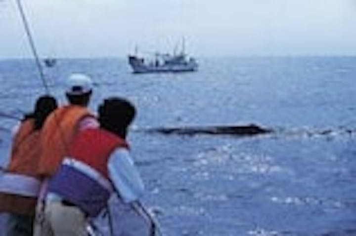 南紀マリンレジャーサービス