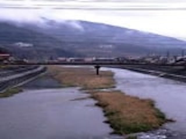 津和野川（錦川）