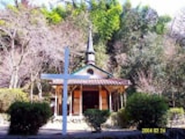 乙女峠マリア聖堂／さくら