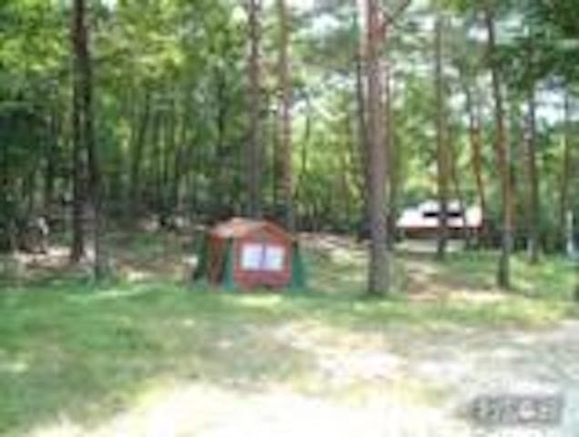 聖湖キャンプ場