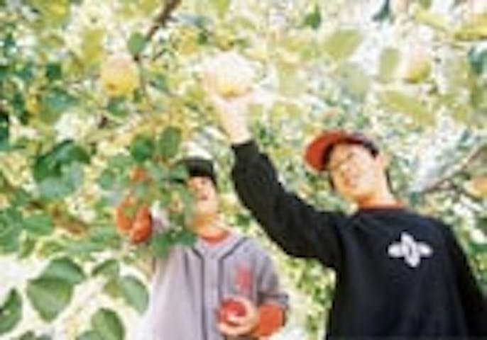 庄原市高野地域観光りんご園