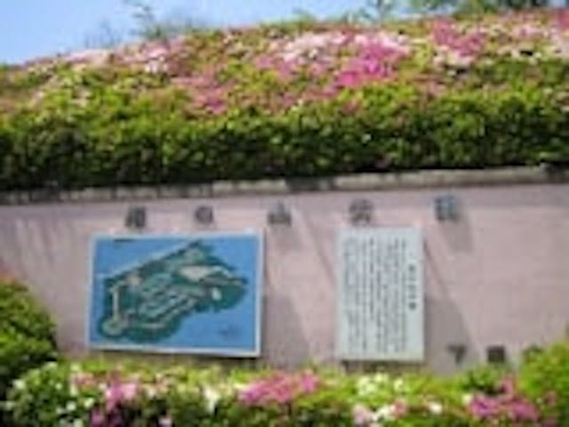 老の山公園／つつじ